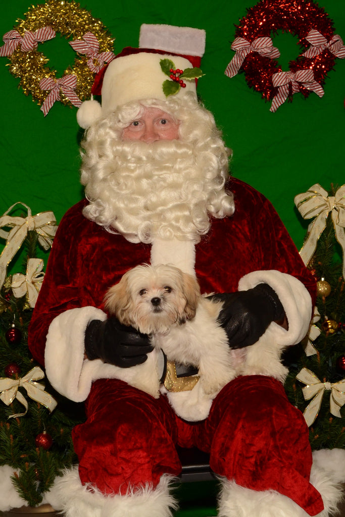 Santa is coming to Happy Tails!
